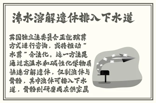 视频成品软件